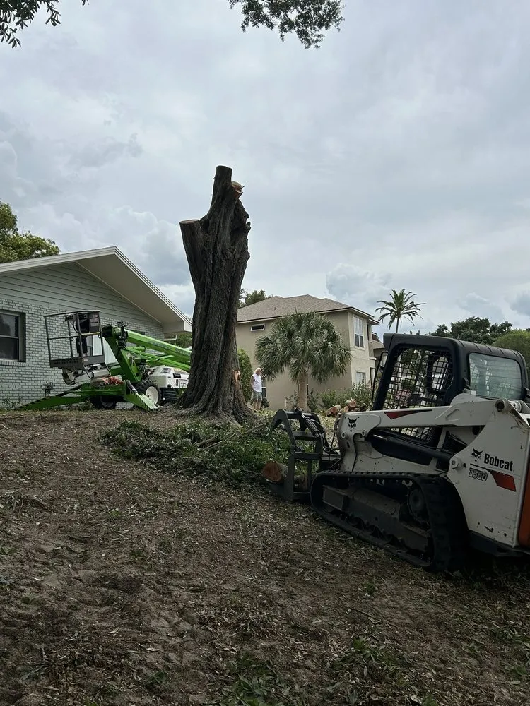 Expert yard cleanup service for year-round maintenance across Groveland, FL - BG Land Care