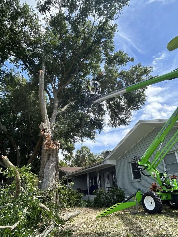 Affordable lawn mowing service experts serving Groveland, FL - BG Land Care