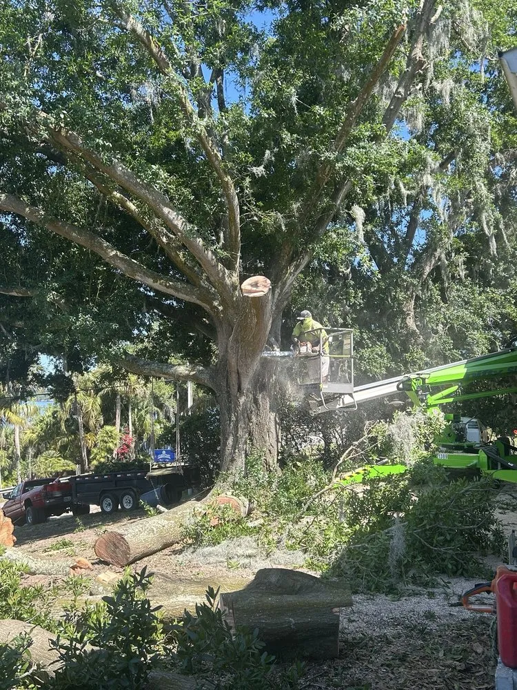 Top-rated garden landscaping in Groveland, FL - BG Land Care