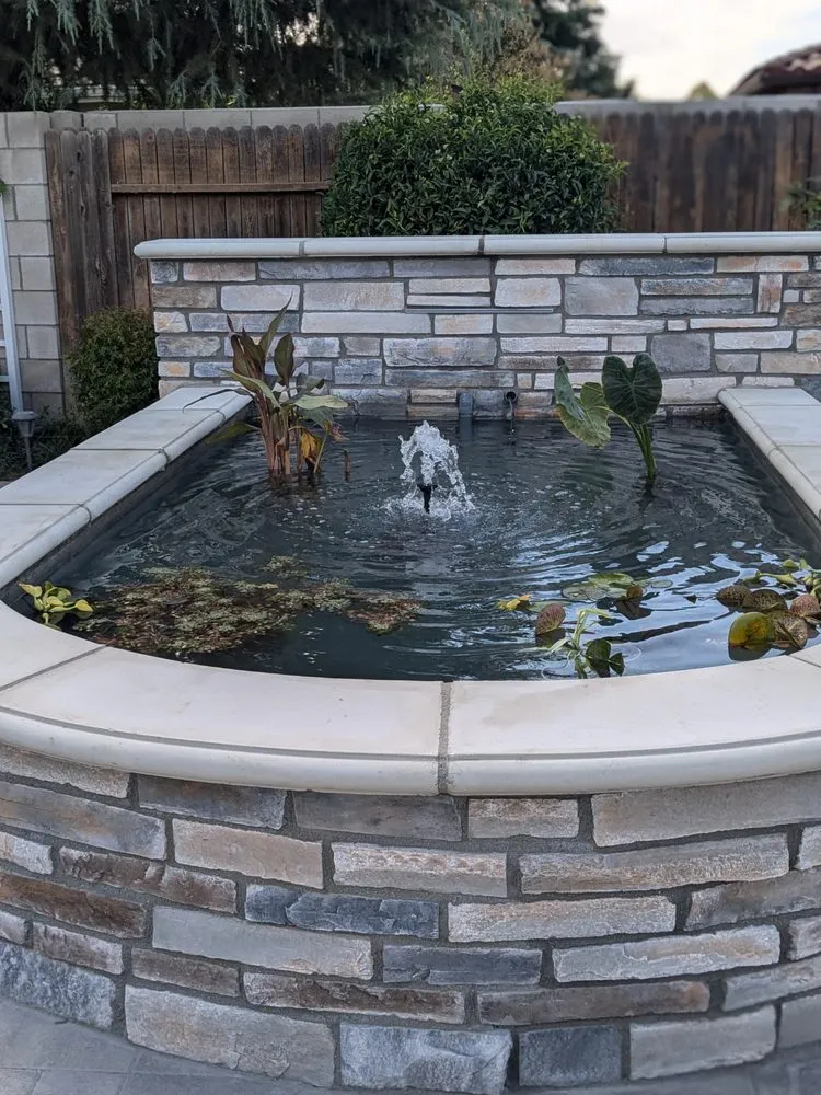 Expert yard maintenance experts serving Bakersfield, CA - BG Landscape Services