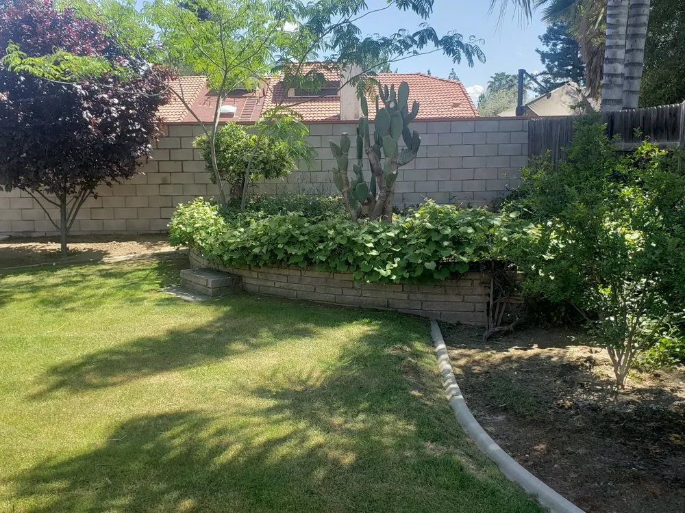 Professional landscape installation for beautiful yards in Bakersfield, CA by BG Landscape Services