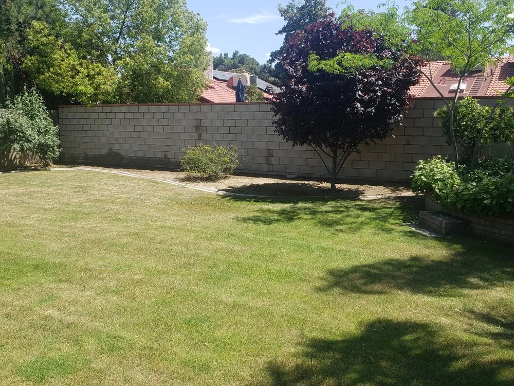 Reliable yard maintenance in Bakersfield, CA by BG Landscape Services