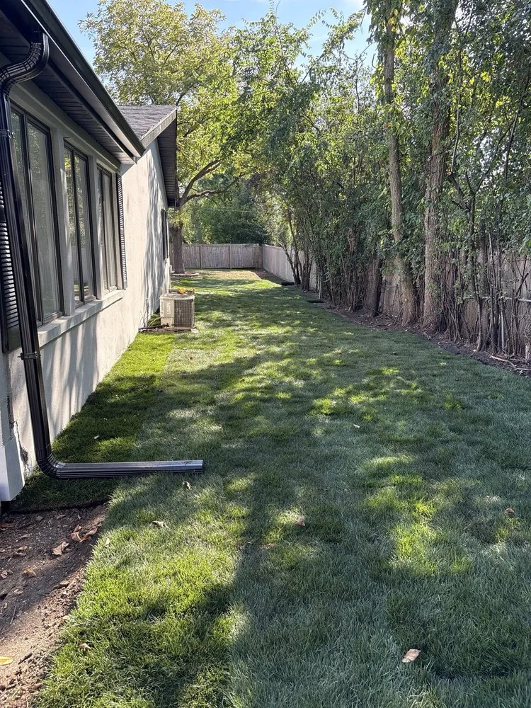 Local landscaping services for beautiful yards across Mundelein, IL - BG Landscape Services