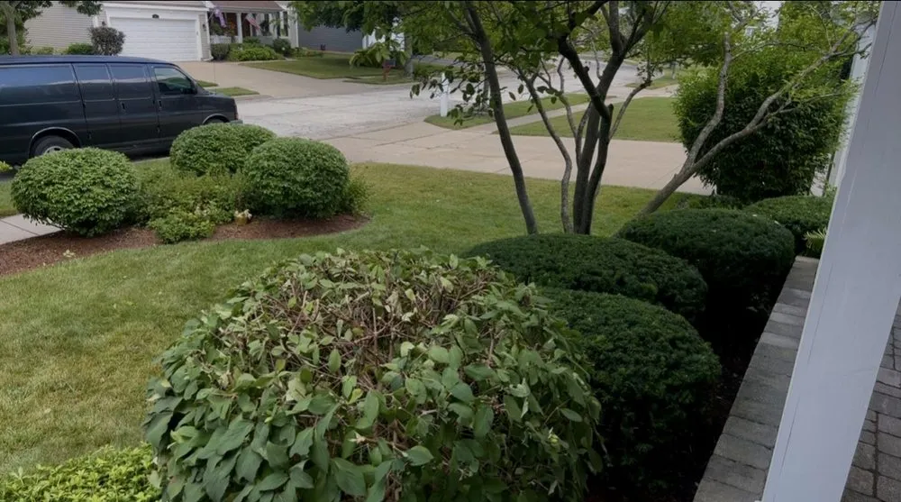 Reliable yard cleanup service in Mundelein, IL by BG Landscape Services