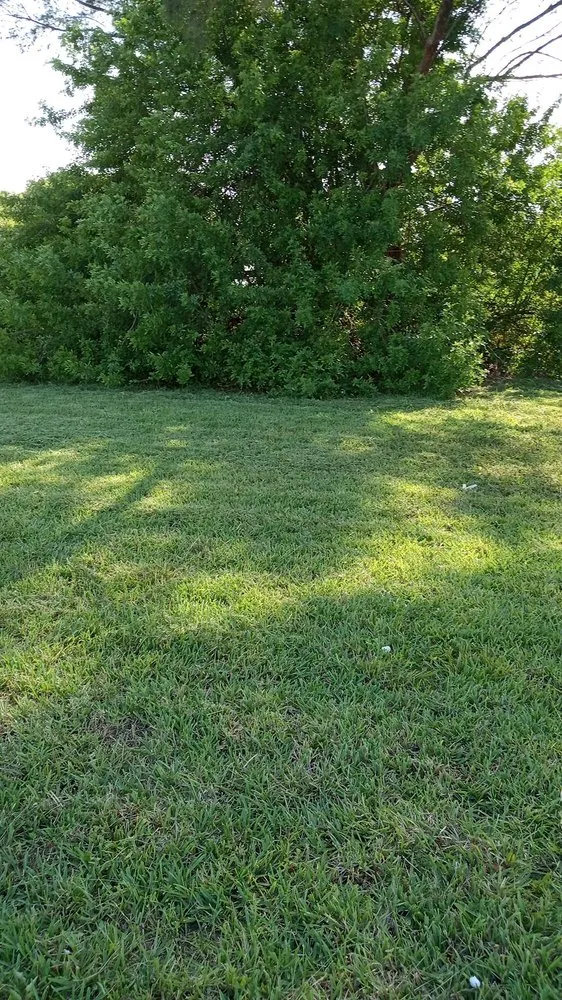 Trusted lawn care service in Miami, FL by BG Landscaper’s