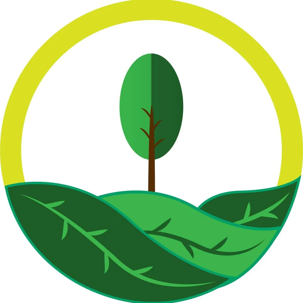 Custom lawn mowing service in Miami, FL - BG Landscaper’s