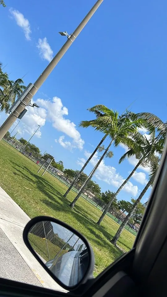 Top-rated yard maintenance experts serving Miami, FL - BG Landscaper’s