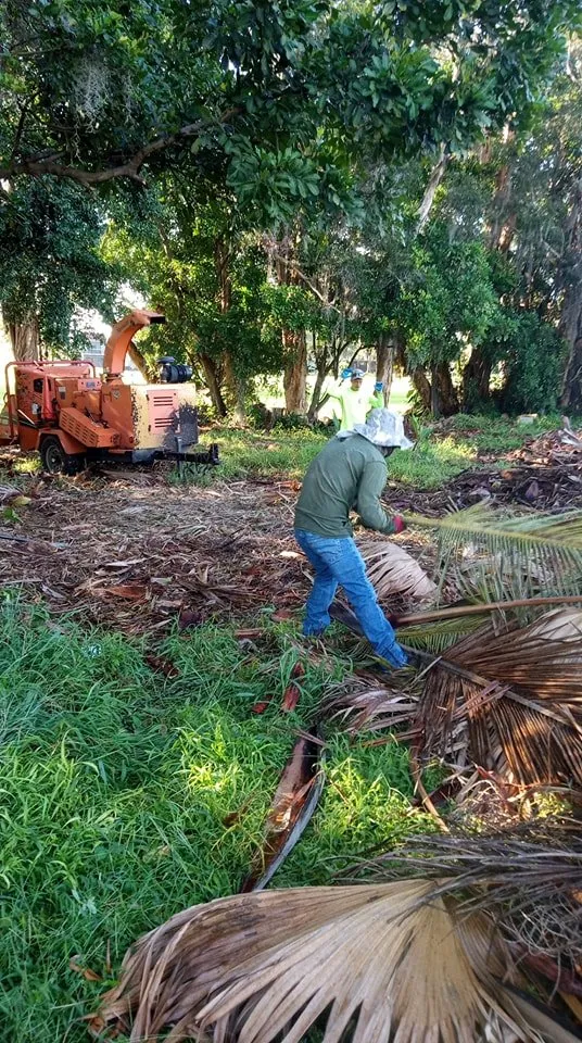 Affordable garden landscaping in Miami, FL by BG Landscaper’s