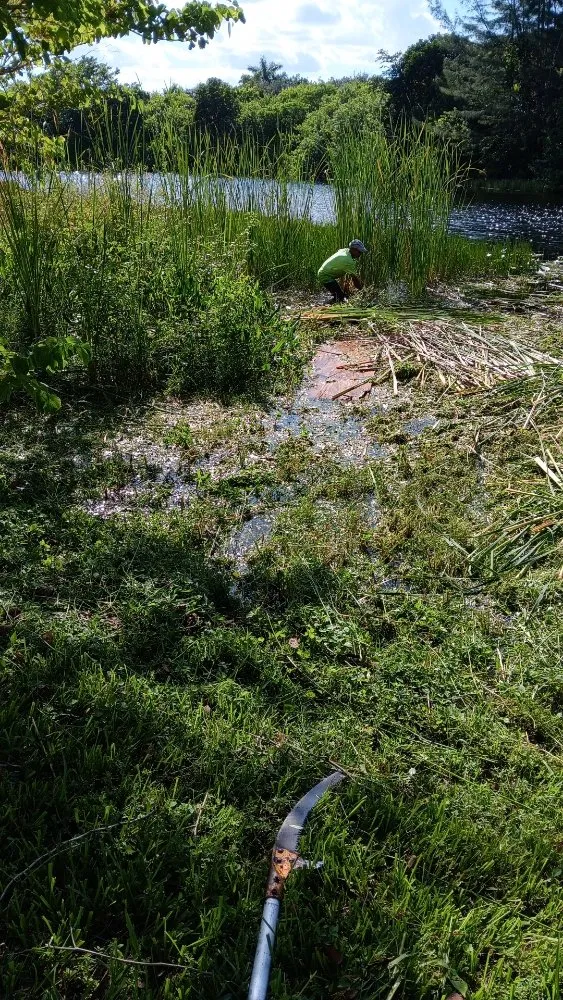 Local lawn care service in Miami, FL by BG Landscaper’s