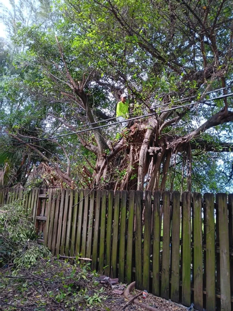 Reliable yard maintenance for homes in Miami, FL by BG Landscaper’s