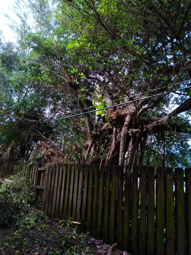 Professional residential landscaping for beautiful yards across Miami, FL - BG Landscaper’s