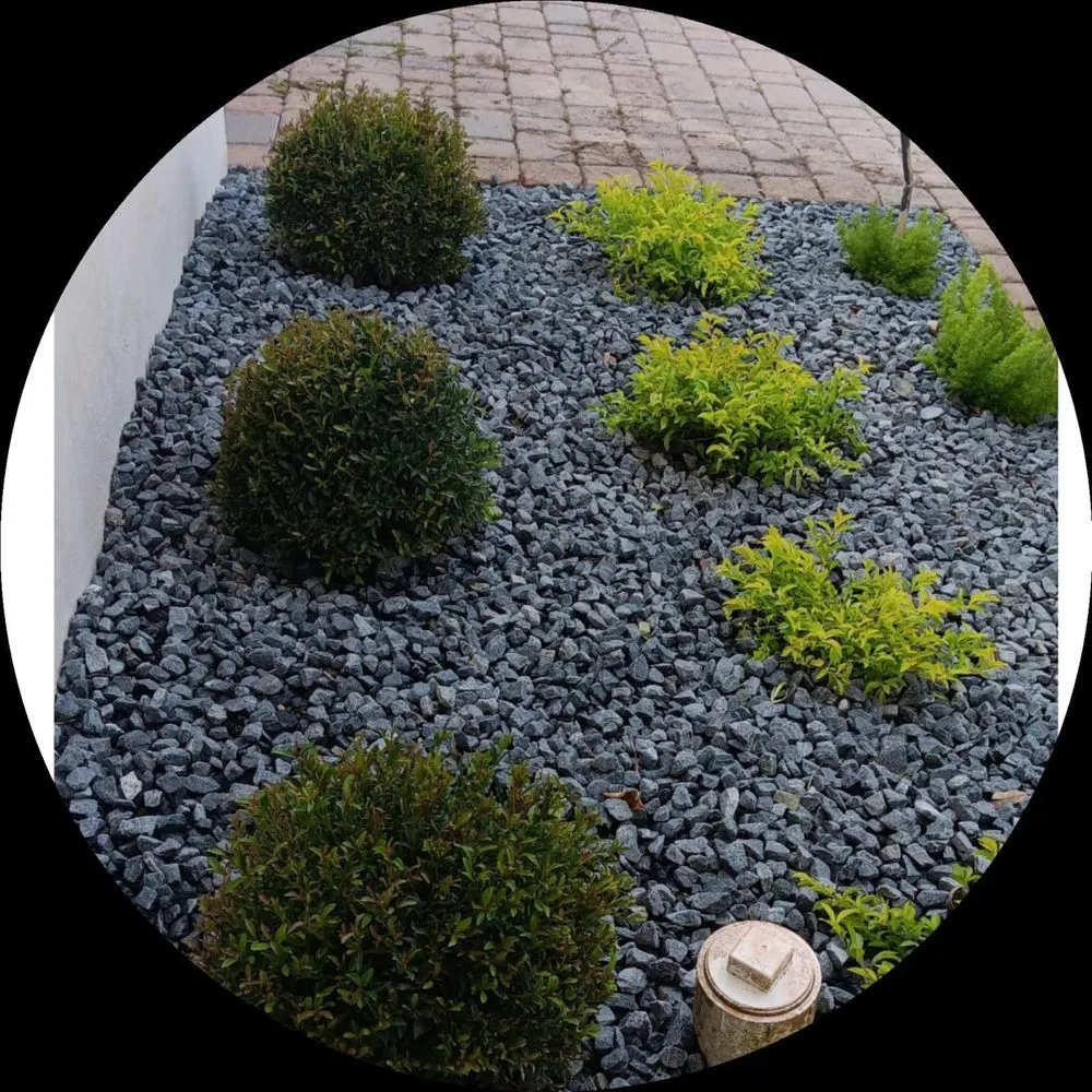 Affordable outdoor landscaping in Miami, FL by BG Landscaper’s