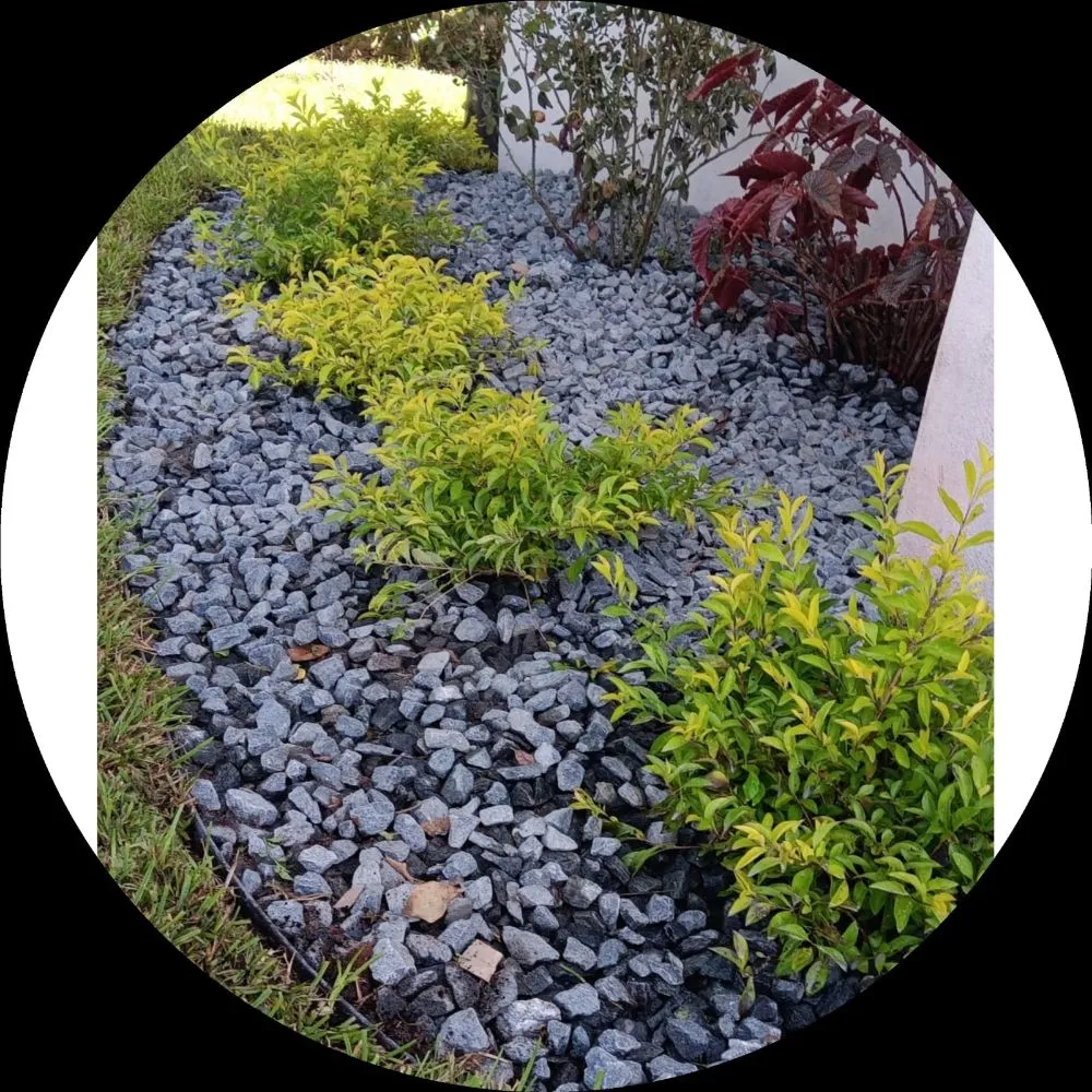 Custom yard cleanup service for outdoor upgrades across Miami, FL - BG Landscaper’s