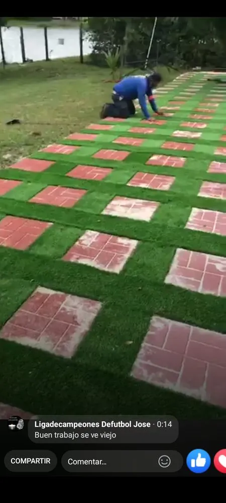 Local landscape design experts serving Miami, FL - BG Landscaper’s