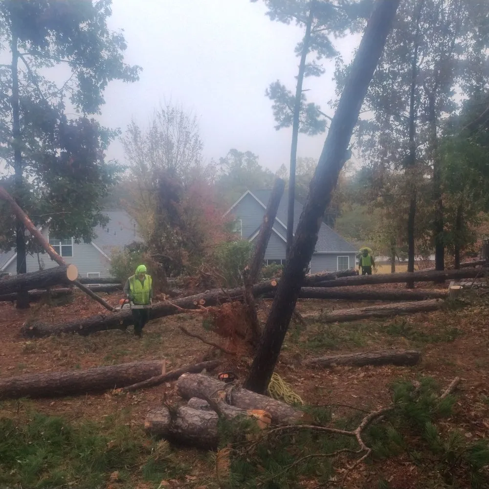 Expert garden landscaping in Anderson, SC - BG Landscaping