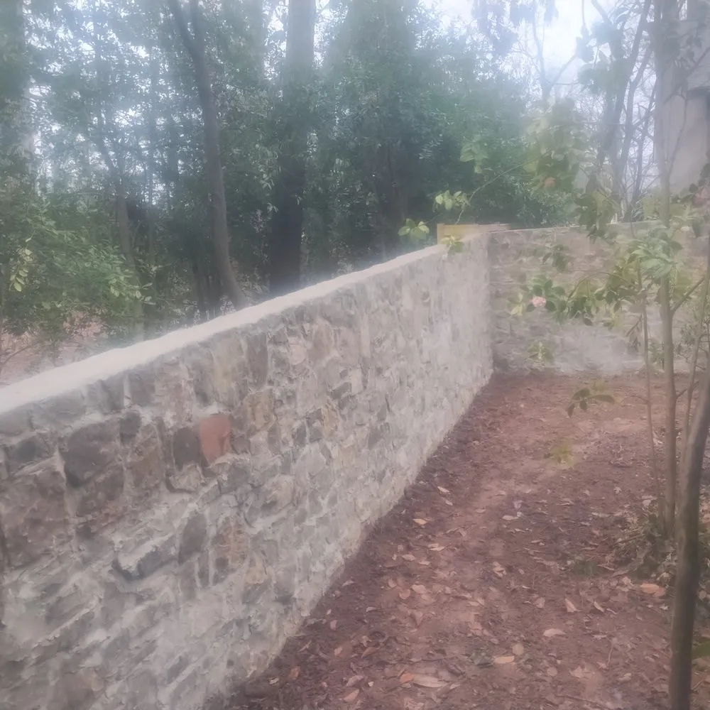 Expert landscaping services experts serving Anderson, SC - BG Landscaping