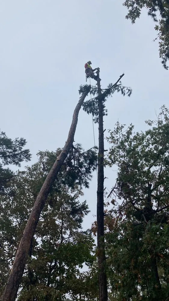 Trusted outdoor landscaping for year-round maintenance in Anderson, SC by BG Landscaping