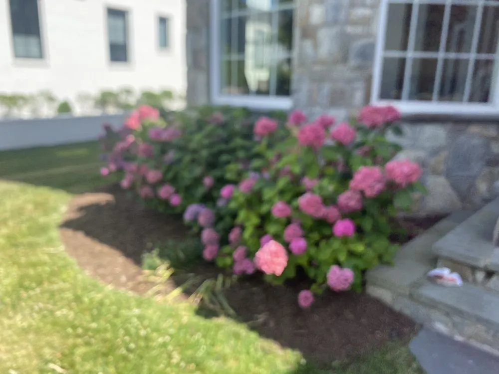 Affordable garden landscaping in Falls Church, VA by B&G Landscaping