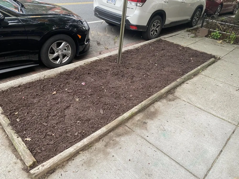 Professional landscape design in Falls Church, VA - B&G Landscaping