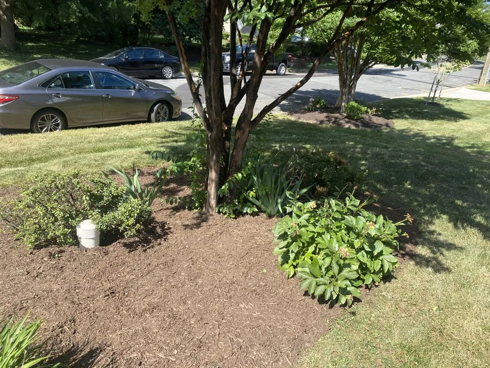 Reliable lawn care service experts serving Falls Church, VA - B&G Landscaping