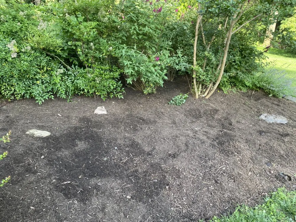 Trusted landscape installation for homes in Falls Church, VA by B&G Landscaping