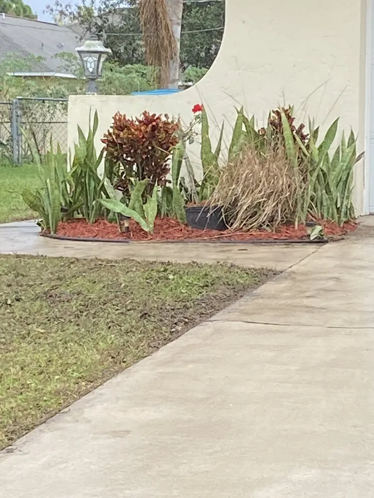 Local outdoor landscaping in Palm Bay, FL - BG Landscaping