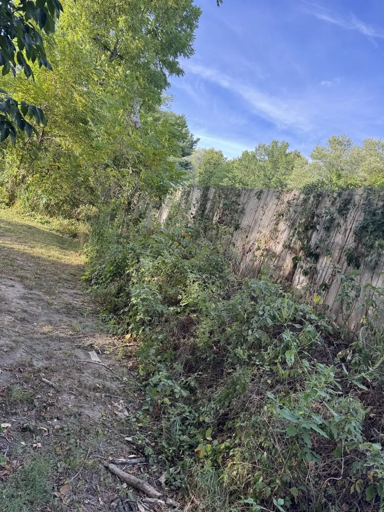 Affordable landscape design near you in Akron, OH by B&G Lawn Maintenance