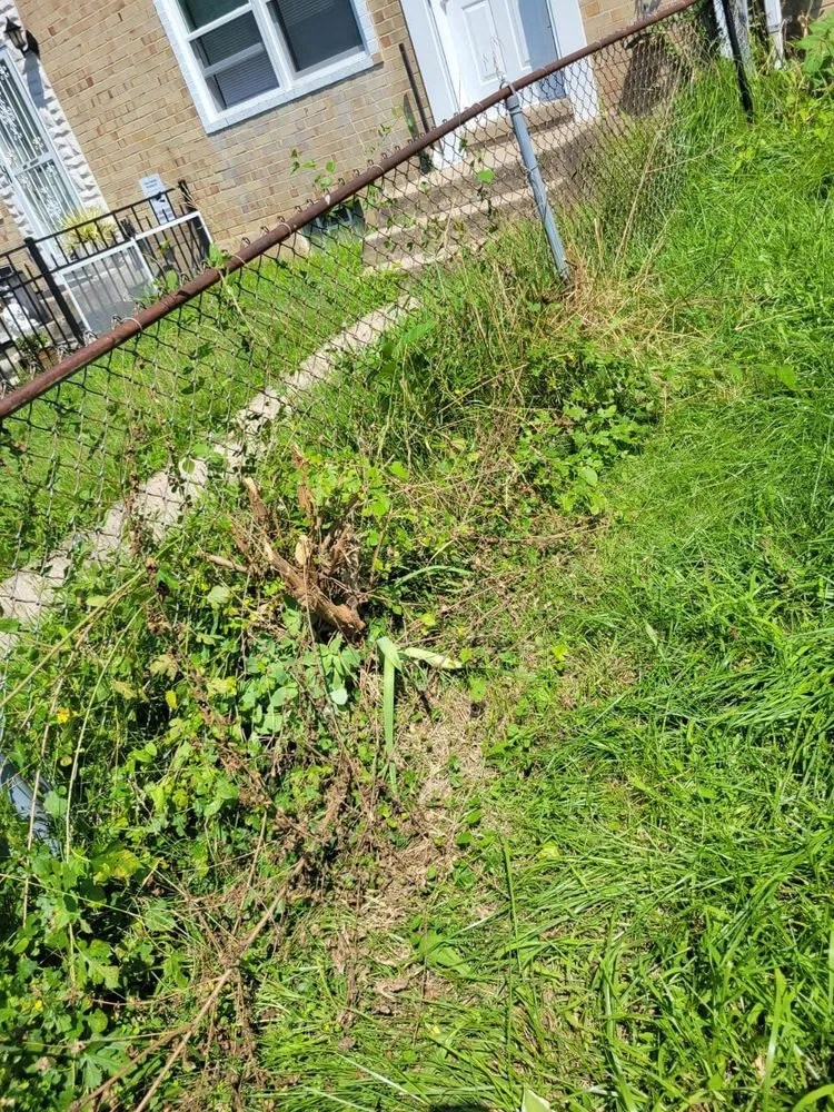 Affordable yard maintenance in MD, MD - BG Martinez Landscaping