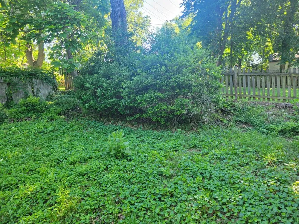 Top-rated landscape design in MD, MD by BG Martinez Landscaping