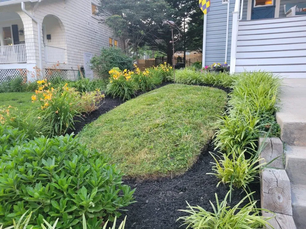 Reliable yard cleanup service experts serving MD, MD - BG Martinez Landscaping