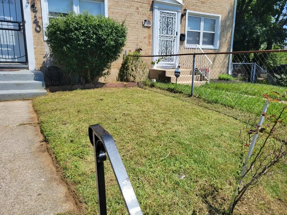 Custom yard cleanup service experts serving MD, MD - BG Martinez Landscaping