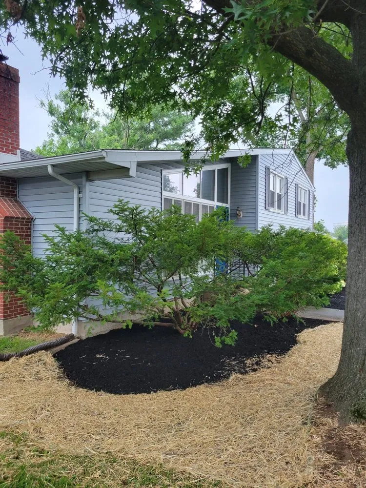 Top-rated garden landscaping in MD, MD - BG Martinez Landscaping