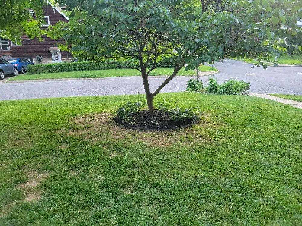 Trusted landscape design in MD, MD by BG Martinez Landscaping