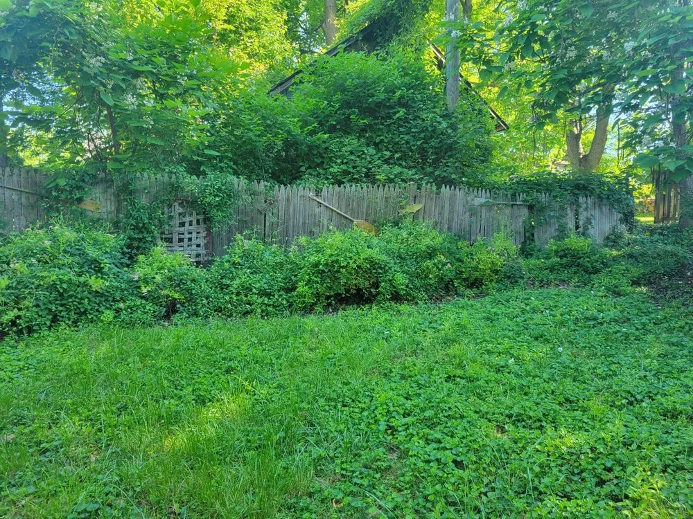 Expert residential landscaping near you across MD, MD - BG Martinez Landscaping
