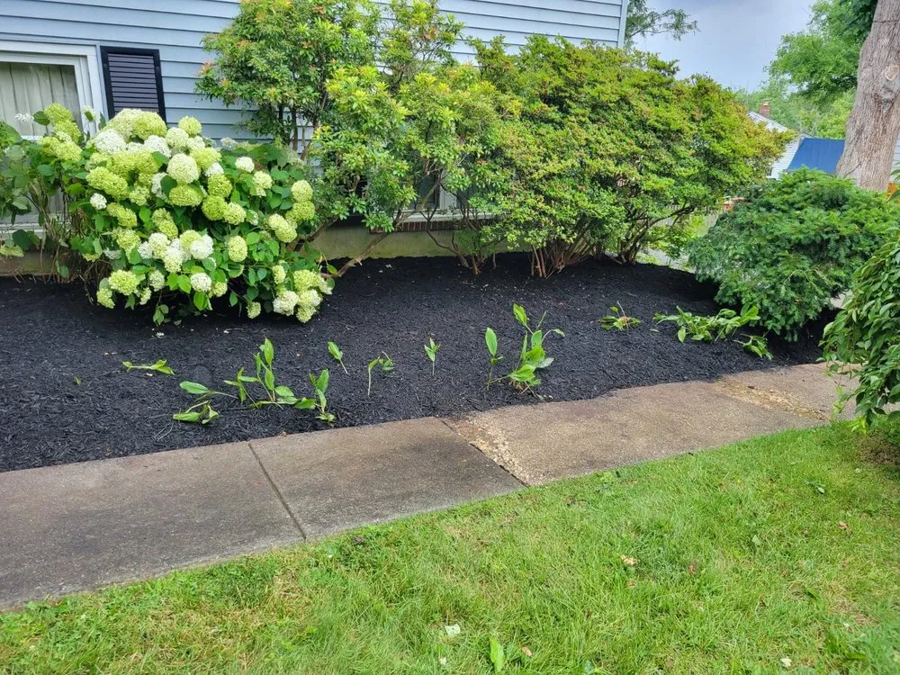 Expert yard cleanup service in MD, MD by BG Martinez Landscaping