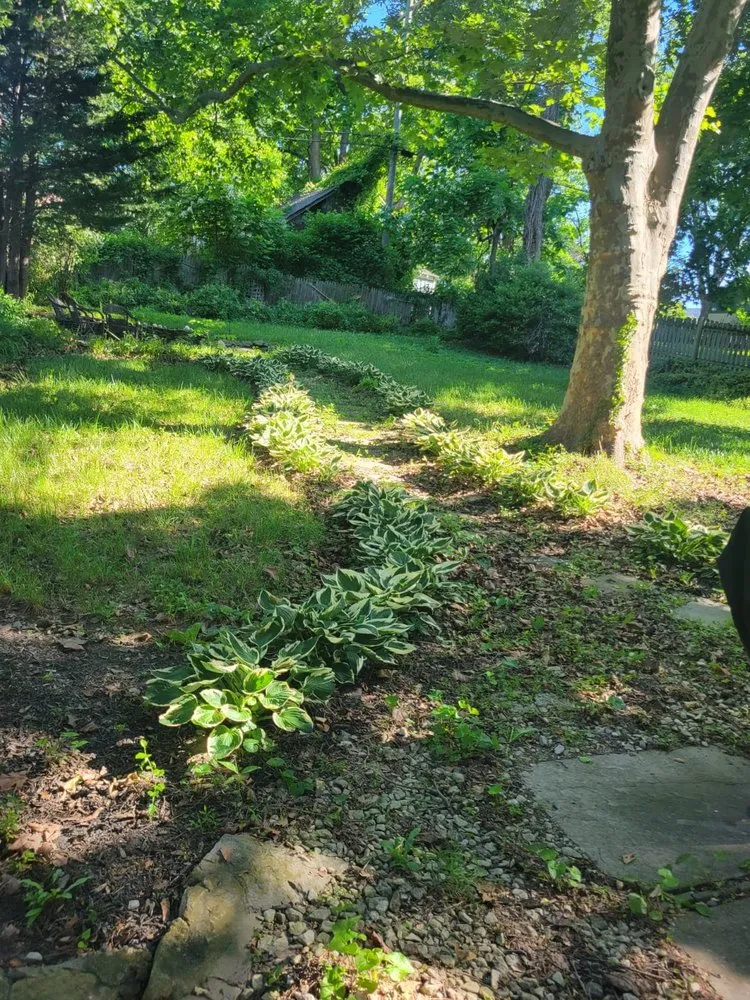 Reliable yard cleanup service for outdoor upgrades in MD, MD by BG Martinez Landscaping