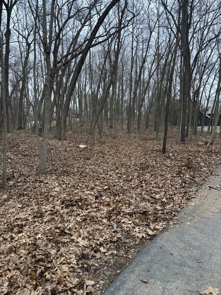 Local landscaping services in Holly, MI - B&G Outdoor Services