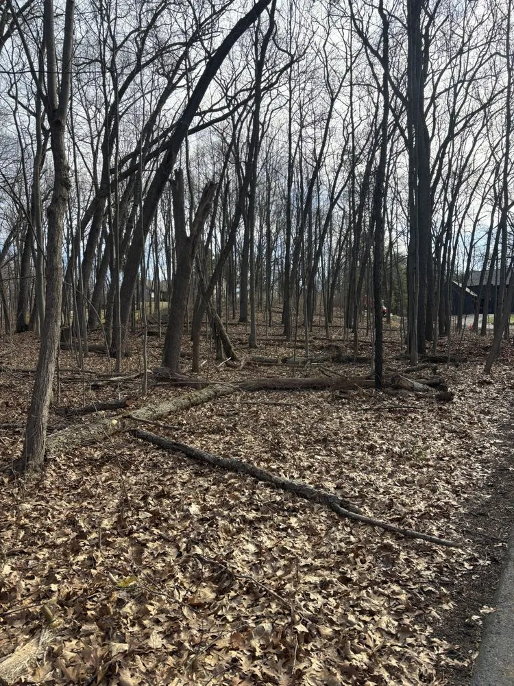 Top-rated yard cleanup service for residential properties across Holly, MI - B&G Outdoor Services