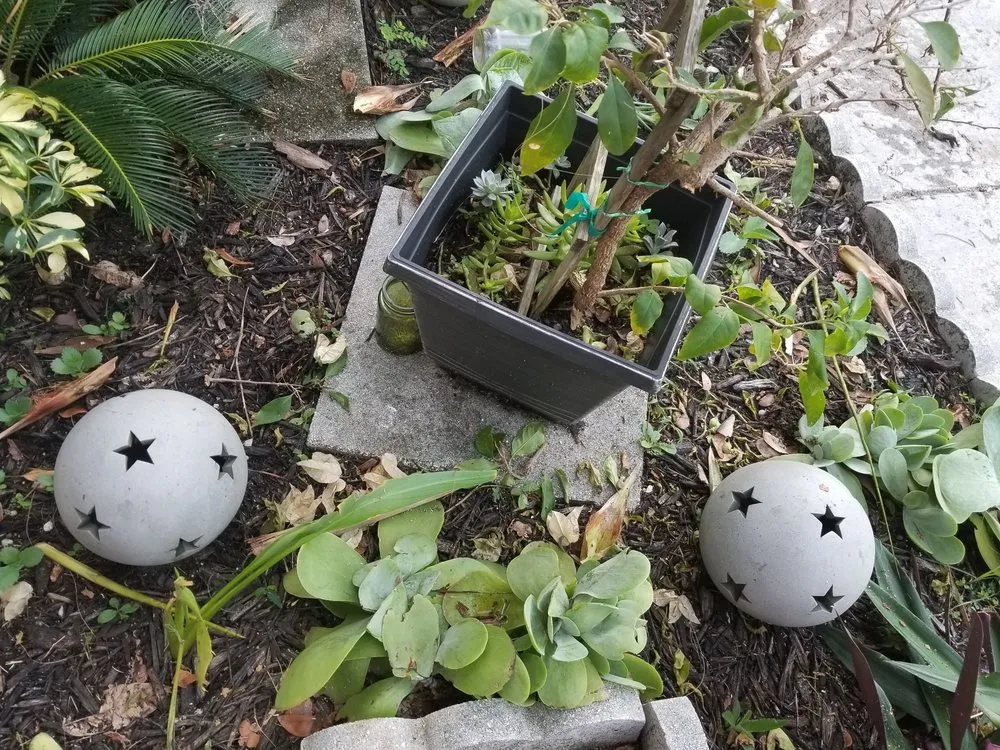 Reliable residential landscaping experts serving Miami, FL - B&G Property Maintenance