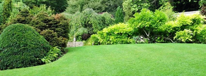 Local residential landscaping in Miami, FL by B&G Property Maintenance