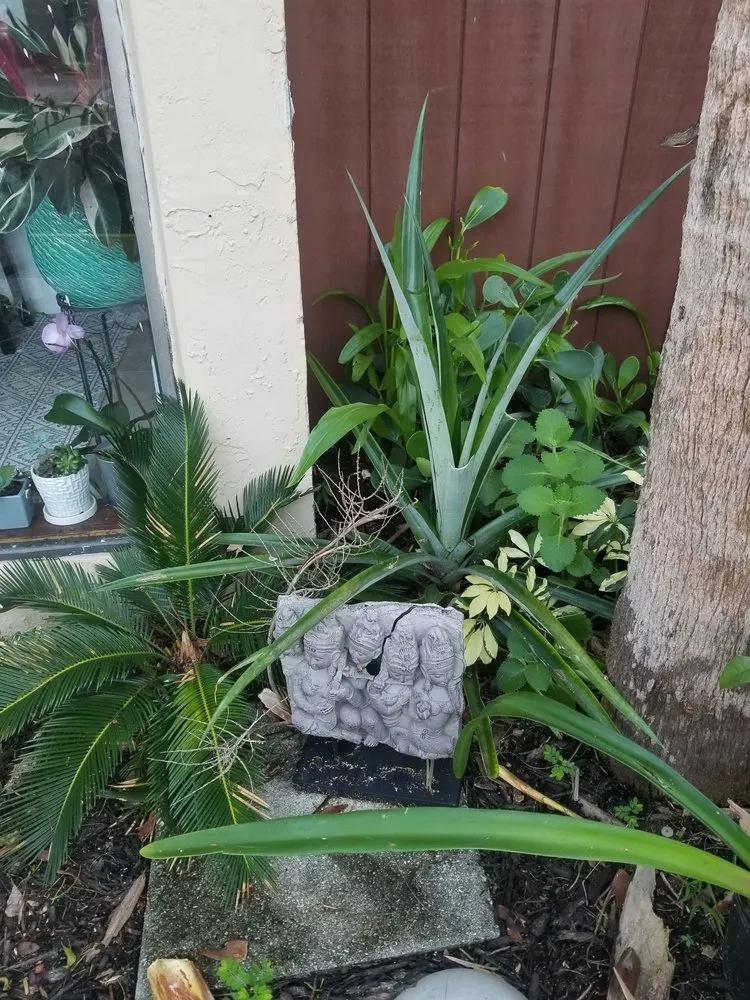 Reliable landscape design experts serving Miami, FL - B&G Property Maintenance