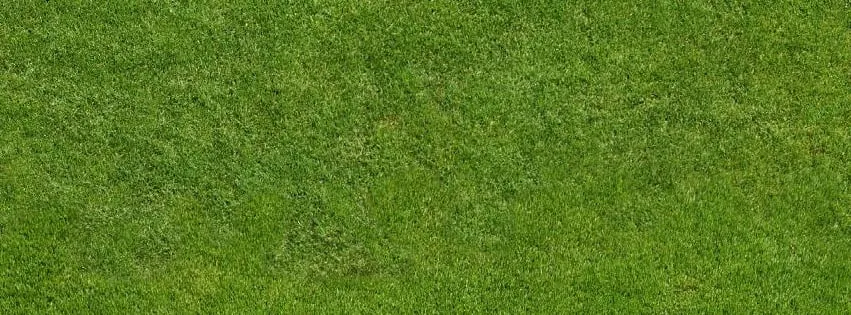 Top-rated outdoor landscaping for year-round maintenance across Miami, FL - B&G Property Maintenance