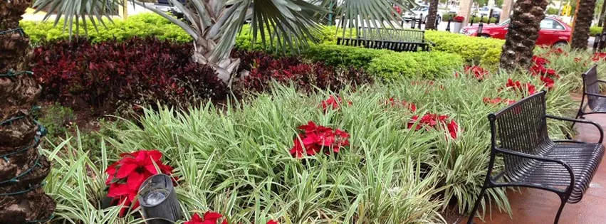 Custom landscaping services near you in Miami, FL by B&G Property Maintenance