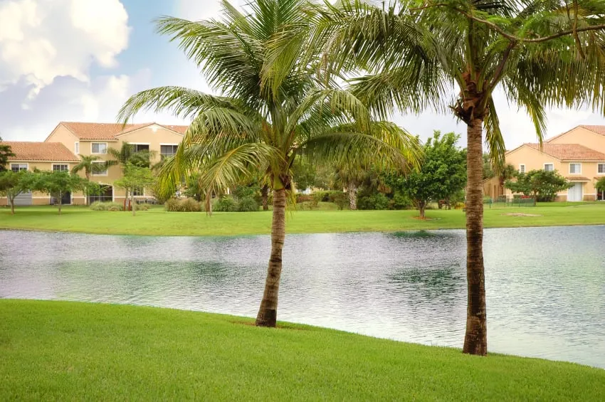 Local landscape installation for beautiful yards in Miami, FL by B&G Property Maintenance