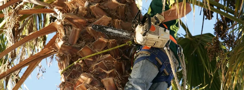 Affordable landscape design experts serving Miami, FL - B&G Property Maintenance