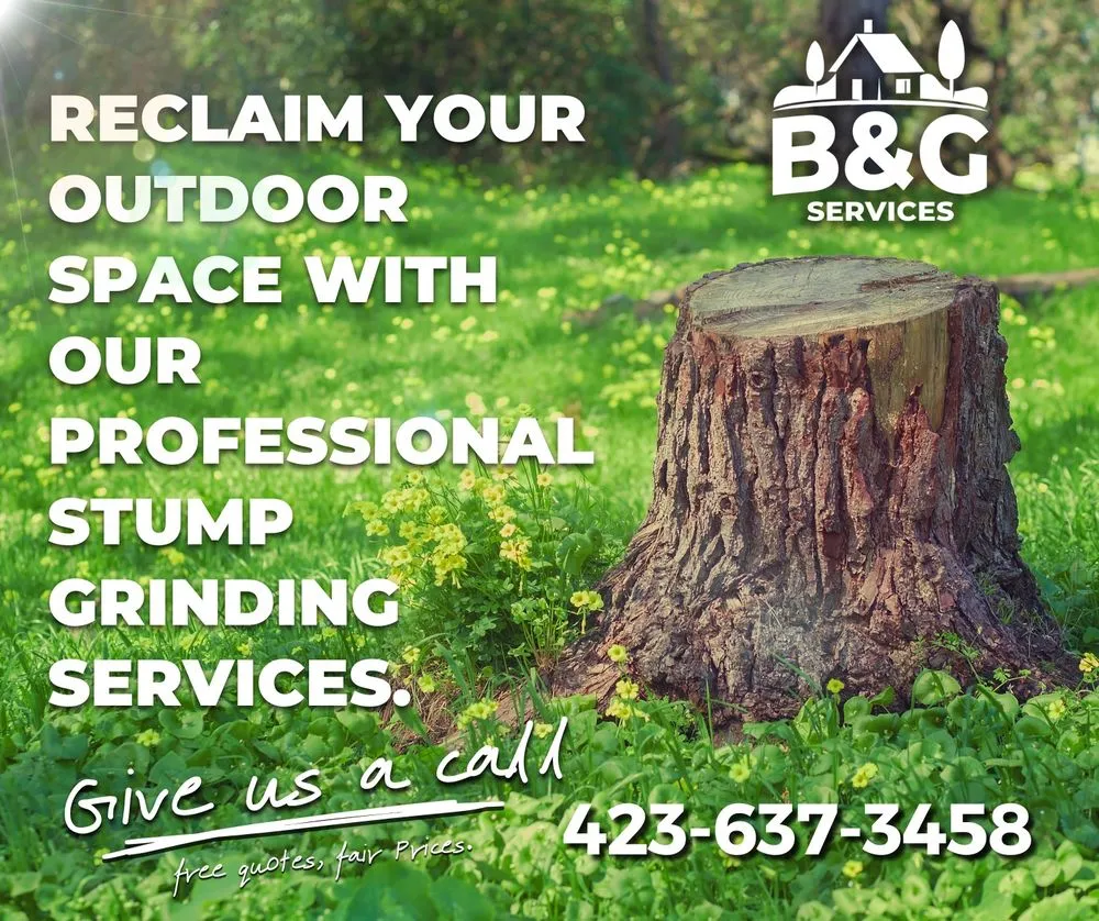 Top-rated lawn mowing service for outdoor upgrades in Ringgold, GA by B&G Services