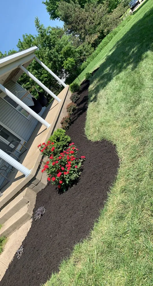 Trusted yard maintenance for year-round maintenance across Wapakoneta, OH - BG Services