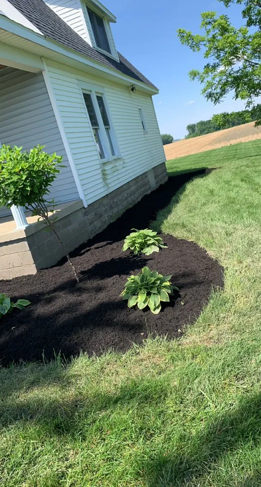 Trusted lawn mowing service in Wapakoneta, OH - BG Services