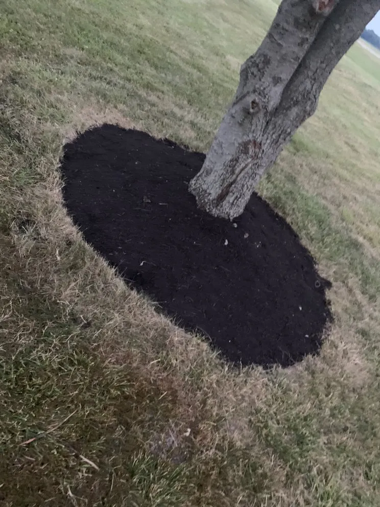 Local garden landscaping in Wapakoneta, OH by BG Services