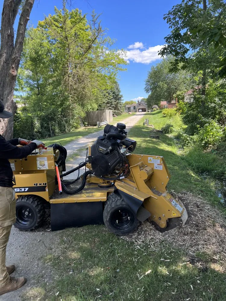 Professional lawn care service in Auburn Hills, MI by BG Stump Grinder